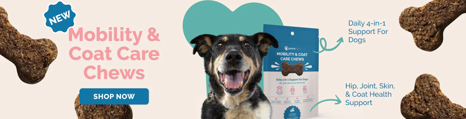 Pure Wellness for Every Pet